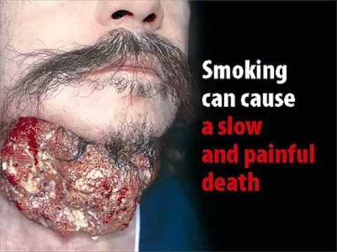 essay about cigarettes should be illegal essay about cigarettes should be illegal