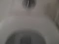 212: American Standard Afwall Toilet 10