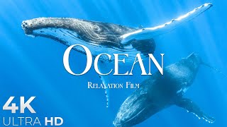 The Ocean (4K UltraHD)- Relaxation Film - Peaceful Relaxing Music - 4k  UltraHD