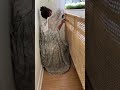 Get Inspired: DIY Bed Headboard - Home Decor Ideas
