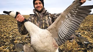 How To Clean A Goose