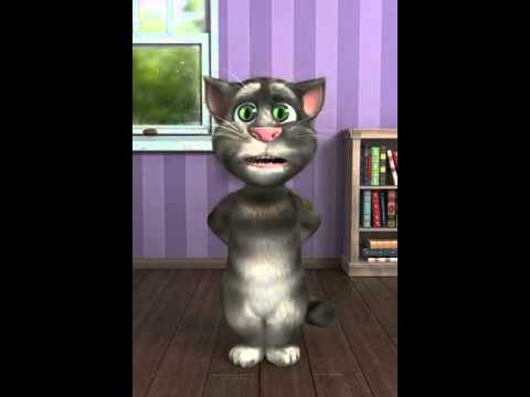 Honey Singh Raap by Talking Tom in 15 Saala To Ghat Soniye 2012...