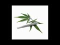 Cannabis als pijnstiller: drugs op recept of geneeskundige innovatie? - filmwedstrijd NWO Bessensap