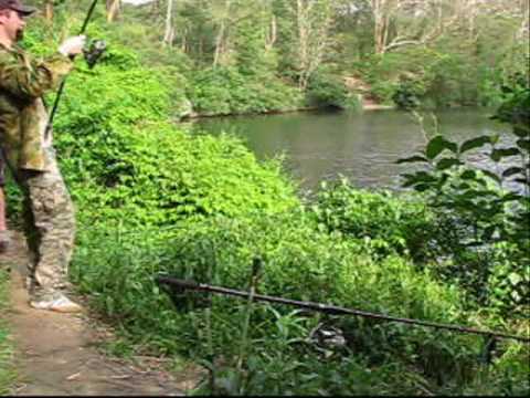 Carp Fishing Australia Part 2. common carp fishing. Carp Fishing Australia Part 2.