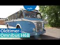 Besonderes Vergnügen: Ausfahrten im Oldtimer-Omnibus H6B | MDR um 4 | MDR