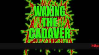 Watch Waking The Cadaver Snapped In Half video