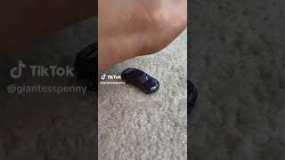 Giantess Crushs Car