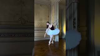 Life Is Better When You Wear A Tutu Intermezzo Dancewear