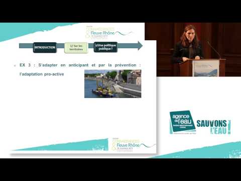 L'adaptation au changement climatique sur les territoires : perceptions et intégration dans les politiques publiques - Plan Rhône - Sandrine Dhenain