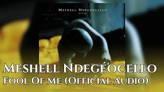 Watch Meshell Ndegeocello Fool Of Me video