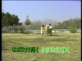 季節の中で sinza 季節の中で sinza