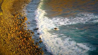 Calming Ocean Waves White Noise Sleep Study Soothe Crying Baby 10 Hours Hd Calming Ocean Waves White Noise Sleep Study Soothe Crying Baby 10 Hours Hd