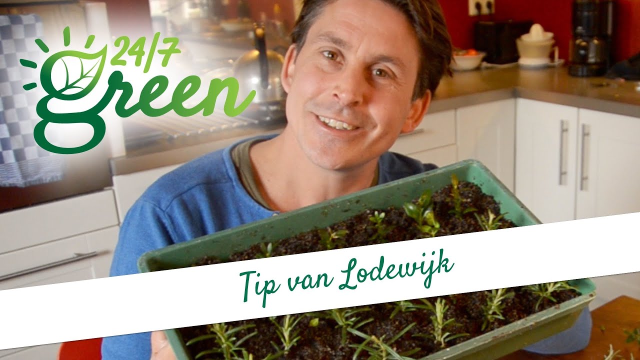 hoe word je snel verkouden