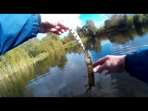 ловля щуки на спиннинг на немане видео ловля щуки на спиннинг на немане видео