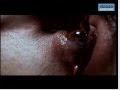 The kiss - A short movie both sensitive and cruel (Bulgaria - Daazo winner 2007)