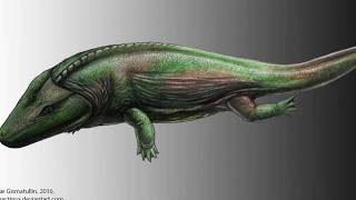 Mastodonsaurus And The Temnospondyls - The Strange Prehistoric Amphibians