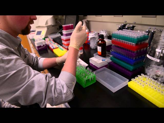 Watch Florida Largemouth Bass production on YouTube.