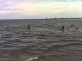 Mesum dipantai.....