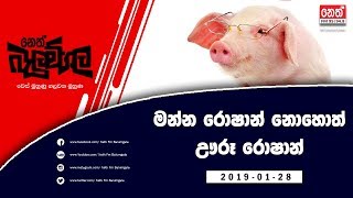 Neth Fm Balumgala | Manna Roshan (2019-01-28)