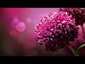 Heatbeat - Test Your Might Original Mix ASOT 783 Heatbeat - Test Your Might Original Mix ASOT 783
