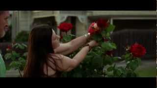Watch Indigo Girls Finlandia video