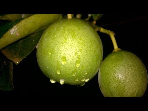 Nhạc không lời sôi động - 3