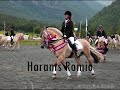 Harams Romio & Sigrid, Norwegian Championship 08