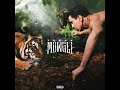Jungle Video preview
