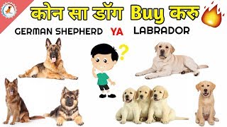 Hume kon sa dog lena chahiye / German shepherd Ya Labrador / How to choose a puppy