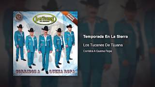 Watch Los Tucanes De Tijuana Temporada En La Sierra video