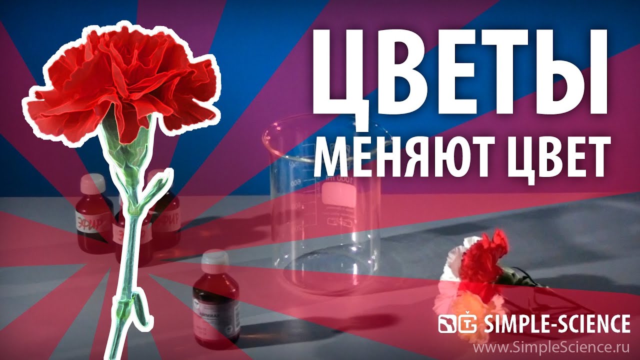 Как почистить в домашних условиях замшевую куртку Как почистить в домашних условиях замшевую куртку