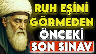 Evren, Ruh Eşi̇ni̇ Göndermeden Önce Nadi̇r Ruhlara Ne Yapar? Mevlânâ Rûmîye Göre