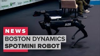 Boston Dynamics demonstrates its SpotMini robot dog (CNET News) Boston Dynamics demonstrates its SpotMini robot dog (CNET News)