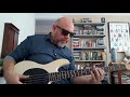 Albert Hammond Jr. - "Far Away Truths" (Bass Cover)