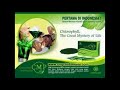 image Agen Cmp Chlorophyll Mint Powder Jakarta Surabaya Bandung