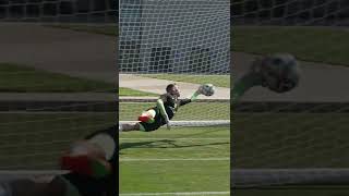 YL9qBxeGqo8 Video Image