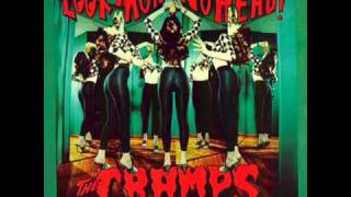 Watch Cramps Dont Get Funny With Me video