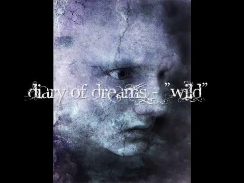Wild Video
