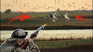 Duck Hunting North Dakota Epic Duck Trip - Nodak The Movie