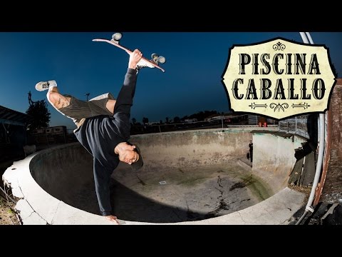 Piscina Caballo Video