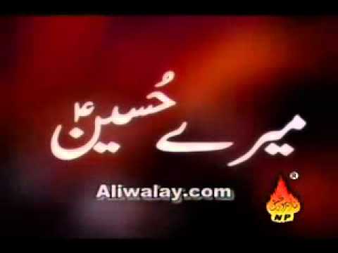 Mai kitne teer nikaloon ki tum ko chain mile - Mir Hassan Mir...