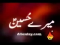 Mai kitne teer nikaloon ki tum ko chain mile - Mir Hassan Mir