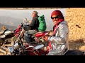 betabrand