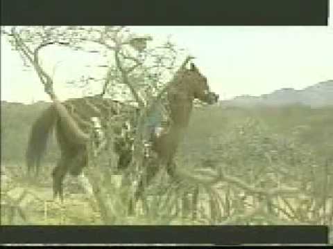 valentin elizalde torrent valentin elizalde culpable o no valentin elizalde torrent valentin elizalde culpable o no