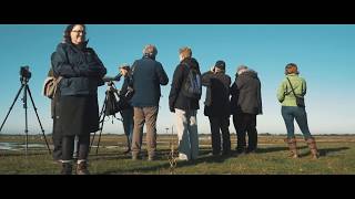 Bird Watching's #My200BirdYear Readers' Day at RSPB Frampton Marsh