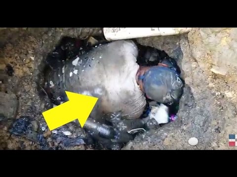 Dominicano con el trabajo más peligroso del pais!Destapa la alcantarilla