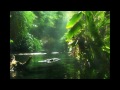 Roland Santé - Harmonie (www.rolandsante.cz)