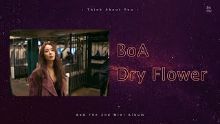 Watch Boa Dry Flower video