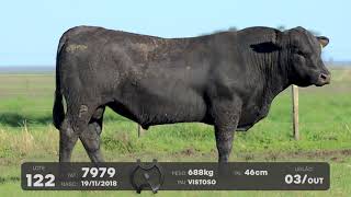 LOTE 122 - TOUROS ANGUS - LEILÃO SÃO BIBIANO 2021