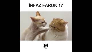 En Çok Sevilen Furkan Emirce Dublajları Vineları